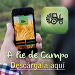 App A Pie de Campo